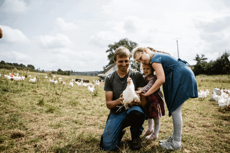 Gif mit Fotos der Hof am Weiher Landwirtschaft