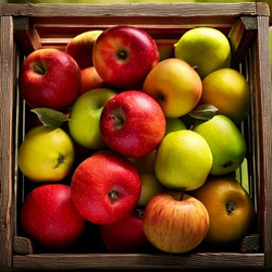 Produktfoto zu Äpfel