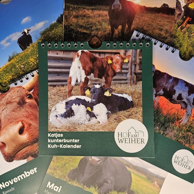 Produktfoto zu Katjas kunterbunter Kuh-Kalender