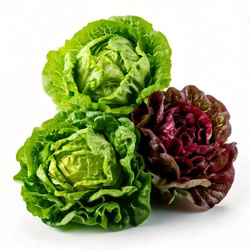 Produktfoto zu Salate