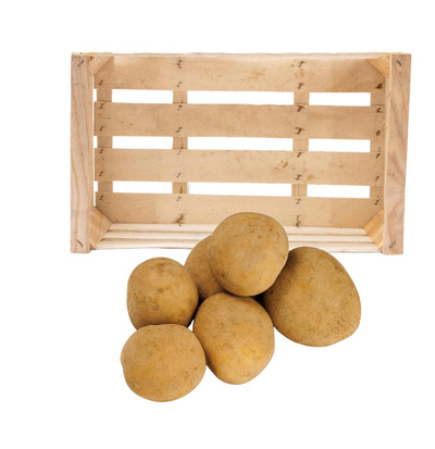 Produktfoto zu Kartoffeln leicht mehlig, 12,5kg