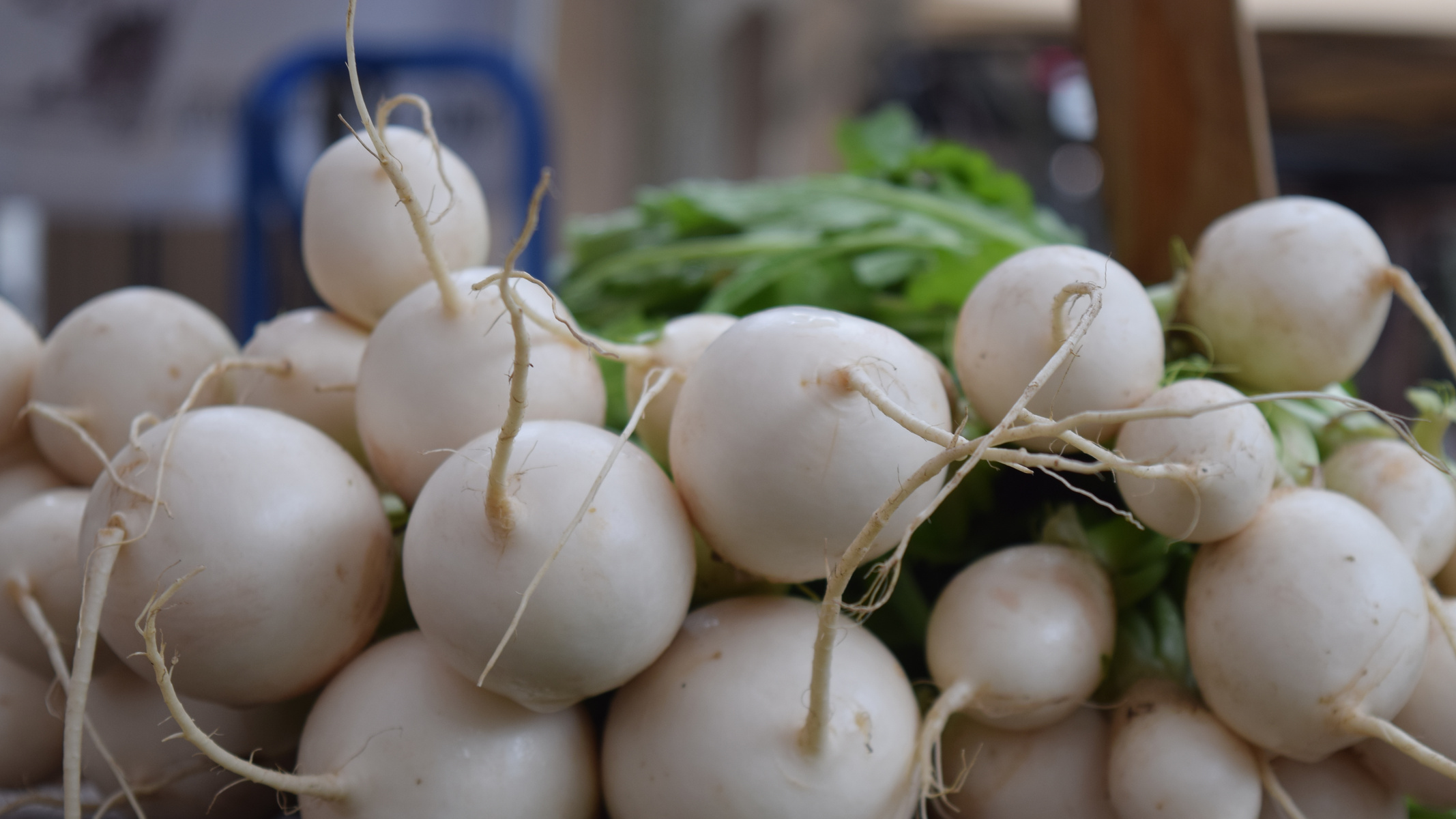 Rezeptbild für Mairübchen in Rahmsauce