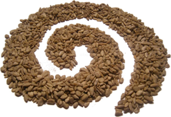 Produktfoto zu Sonnenblumenkerne, 250g