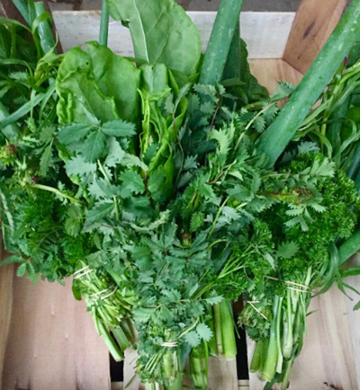 Produktfoto zu Grüne Sauce Kräuter