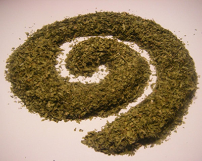 Produktfoto zu Liebstöckel, 25g