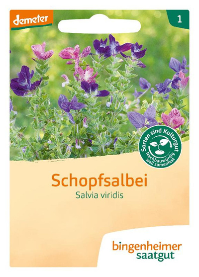 Produktfoto zu Schopfsalbei, 1 Tüte