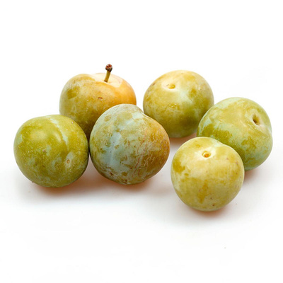 Produktfoto zu Renekloden _ Reineclauden