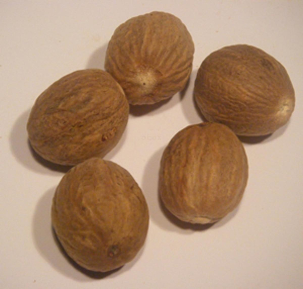 Produktfoto zu Muskatnuss ganz, 5 Stück