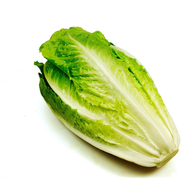 Produktfoto zu Romanasalat groß (kein Salatherz)