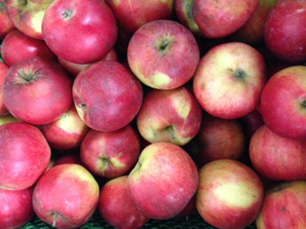Produktfoto zu Äpfel Roter Ontario (säuerl.)