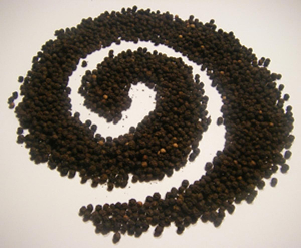 Produktfoto zu Pfefferkörner schwarz, 50g