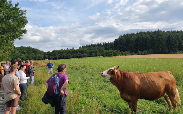 KI generiert: Eine Gruppe Menschen betrachtet eine Kuh auf einer Wiese vor einem Wald.