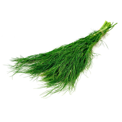 Produktfoto zu Dill