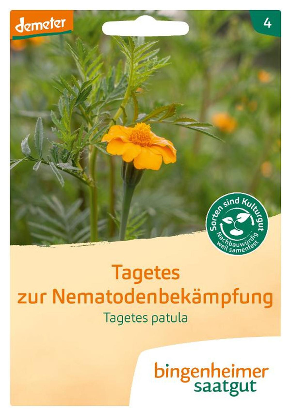 Produktfoto zu Tagetes (Studentenblume), 1 Tüte