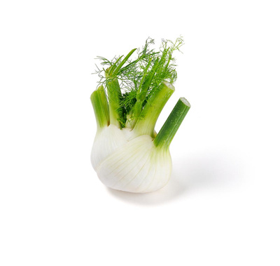 Produktfoto zu Fenchel