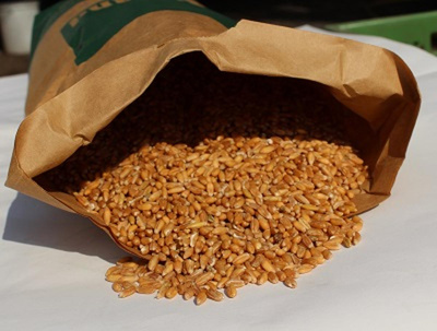 Produktfoto zu Dinkel, 25 kg Sack