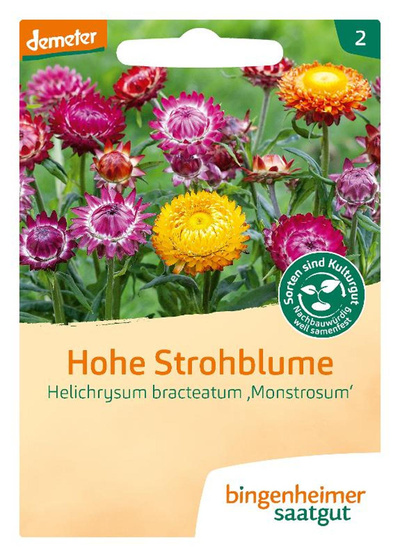 Produktfoto zu Strohblume, 1 Tüte