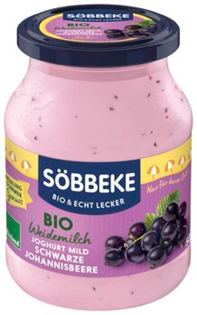 Produktfoto zu Jogurt Schwarze Johannisbeere 3,8%, 500g