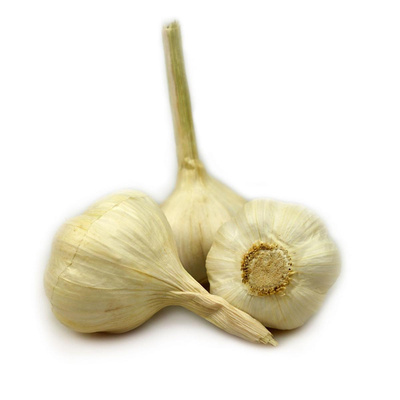 Produktfoto zu Knoblauch