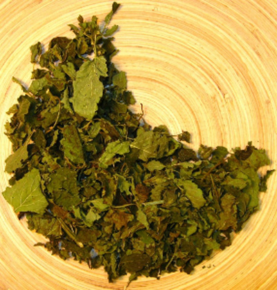 Produktfoto zu Melisse lose, 30g