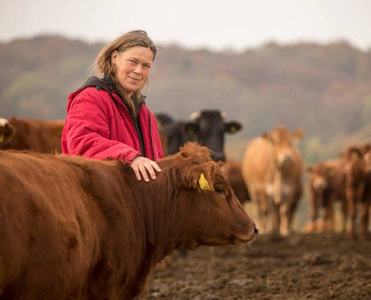 KI generiert: Eine Person steht in einem roten Mantel auf einer Weide und streichelt eine Kuh. Im Hintergrund sind weitere Kühe und eine leicht bewaldete Landschaft zu sehen.