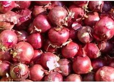 Produktfoto zu Rote Zwiebeln