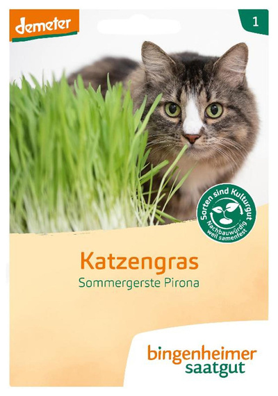 Produktfoto zu Katzengras, 1 Tüte
