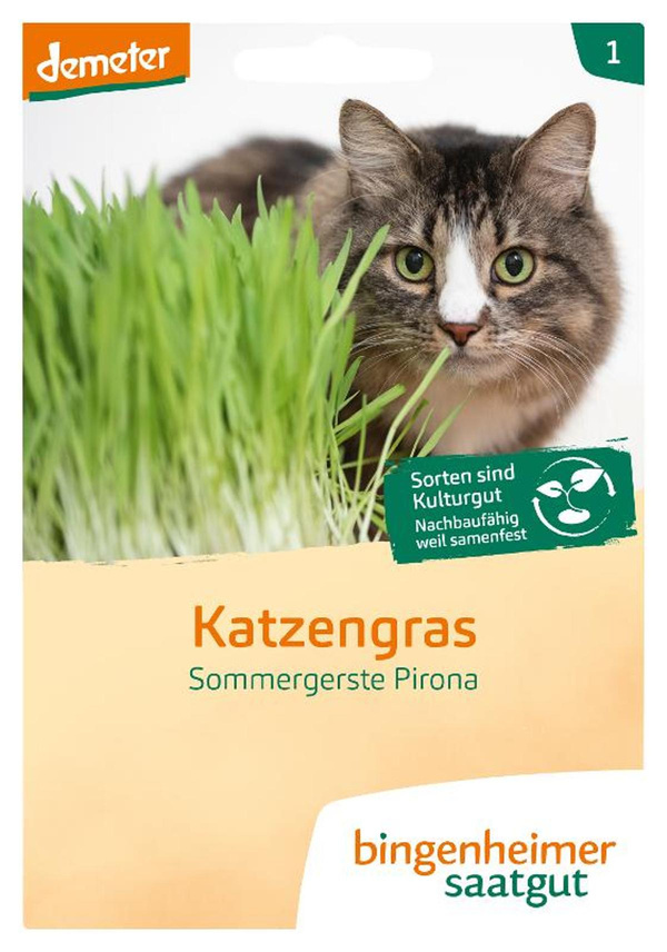 Produktfoto zu Katzengras, 1 Tüte