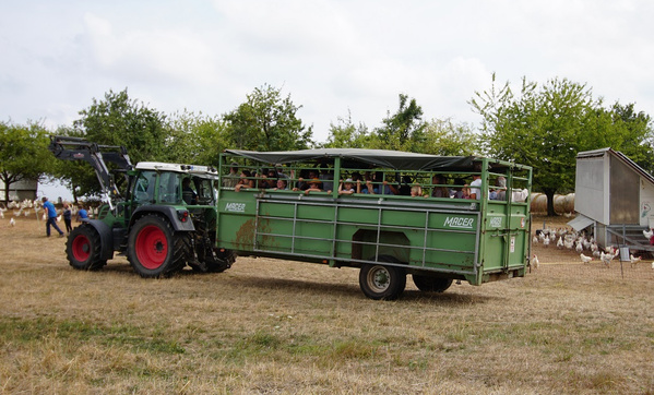 KI generiert: Ein Traktor zieht einen grünen Anhänger mit Menschen über ein Feld; Hühner im Hintergrund. Text: "MÄGER".