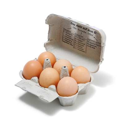 Produktfoto zu M-Eier Mobilstallhaltung, 6 Stück