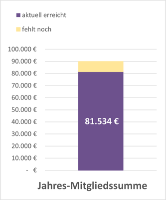 KI generiert: Balkendiagramm zeigt Jahres-Mitgliedssumme: 81.534 € erreicht, 18.466 € fehlen.