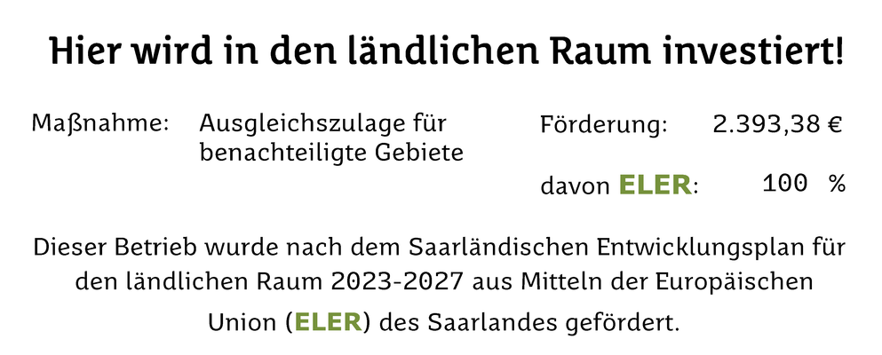 KI generiert: Förderung ländlicher Raum: 2.393,38 € ELER, 100 %. Entwicklung 2023-2027, Saarland, EU.