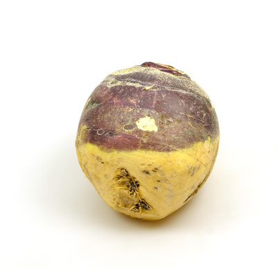 Produktfoto zu Steckrüben (= Kohlrüben)