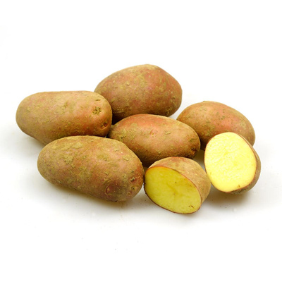 Produktfoto zu Kartoffeln  Rosara -rotschalig vorwiegend festkochend