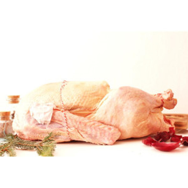 Produktfoto zu Gans, ca. 4-5 kg