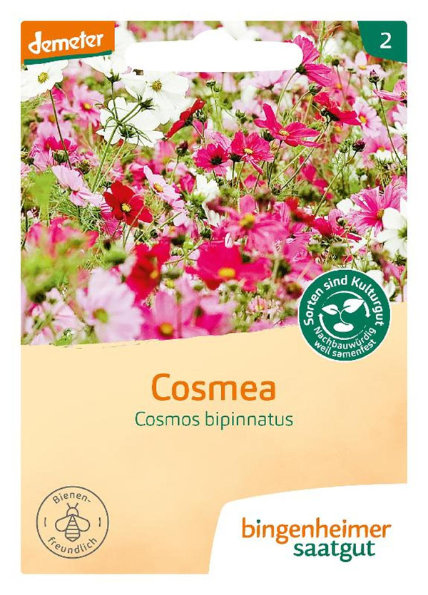 Produktfoto zu Cosmea, 1 Tüte