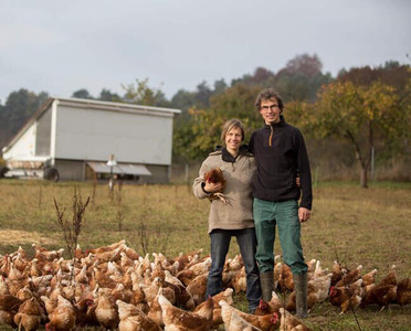 KI generiert: Ein Paar steht in einem Freilandgehege mit zahlreichen Hühnern und einem mobilen Hühnerstall im Hintergrund. Die Frau hält eines der Hühner im Arm, während sie zusammen für das Foto posieren.