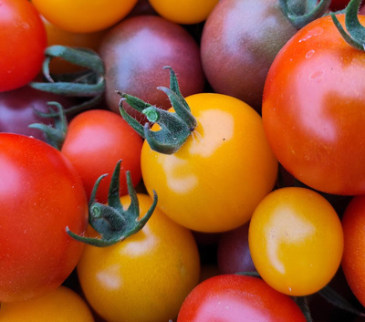 Produktfoto zu Cocktail-Tomaten Mix lose
