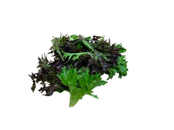 Produktfoto zu Schnittsalat Mix