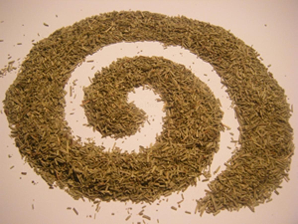 Produktfoto zu Rosmarin, 25g