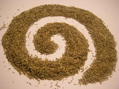 Produktfoto zu Rosmarin, 25g