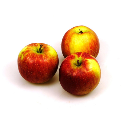 Produktfoto zu Äpfel Jonagold