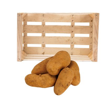 Produktfoto zu Kartoffeln festkochend, 12,5kg