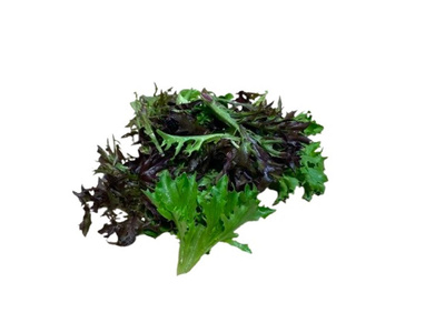 Produktfoto zu Schnittsalat Mix