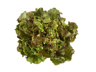 Produktfoto zu Batavia rot