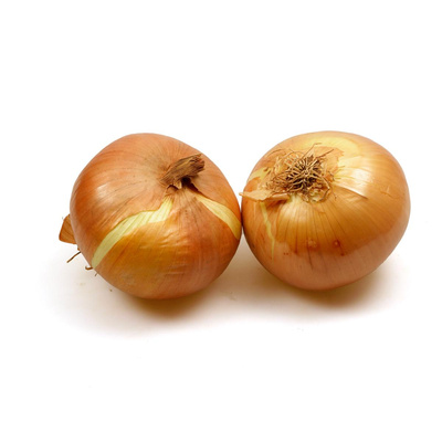 Produktfoto zu frische Gemüsezwiebeln
