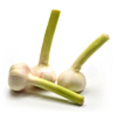 Produktfoto zu frischer Knoblauch