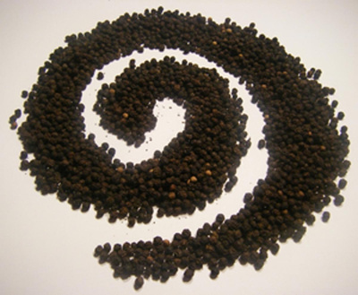 Produktfoto zu Pfefferkörner schwarz, 50g