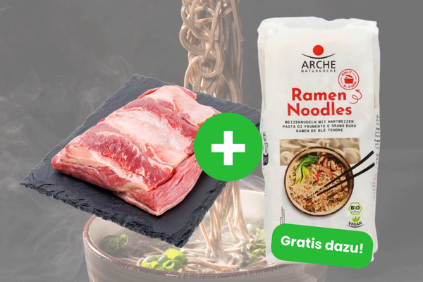 KI-generierte Beschreibung: Hauptinhalt: Ramen-Nudeln mit Lachs. Text: "Ramen Noodles" und "Gratis dazu!".