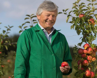 KI generiert: Das Bild zeigt einen Mann in einem grünen Kittel, der in einem Apfelgarten steht und einen Apfel hält. Im Hintergrund sind Apfelbäume mit reifen Äpfeln zu sehen.